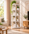 360° Rotating Square Bookshelf Bookcase Display Storage Shelf White – 3/4/5 Tier  Copy Title