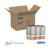Kimberly-Clark Scott Continuous Air Freshener Refill, Mango, 12373 (6 refills/case) (KCC 12373)