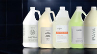 Comprehensive Guide to Selecting Bulk Amenities