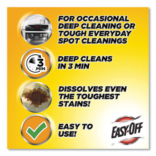 Easy Off Cleaner