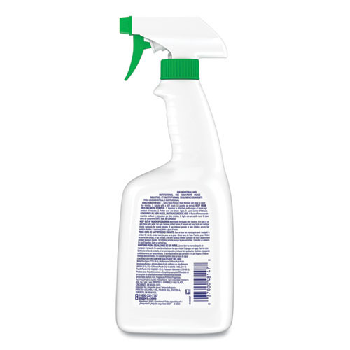 Stain Remover Spray, 32 oz