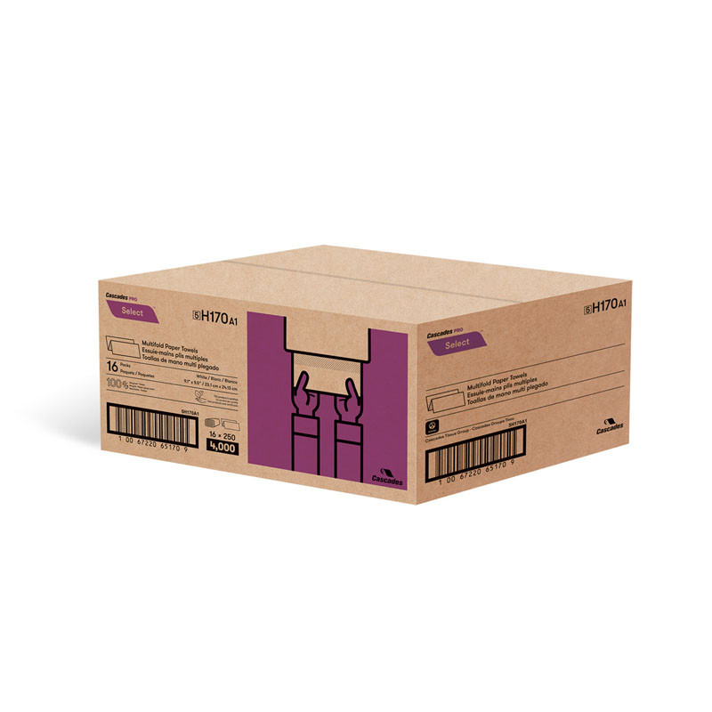 Multifold Paper Towels 16 Packs (250 Towels/Pack)
