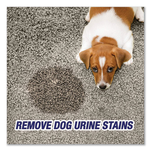 Resolve Urine Destroyer carpet stain remover for dogs