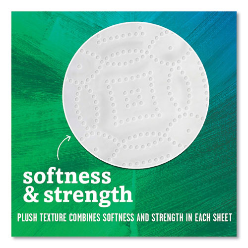 Paper Towel Roll