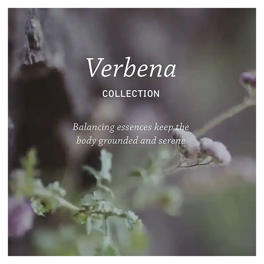 Pharmacopia Verbena Hair Shampoo captures verbena’s zesty citrus-herb fragrance