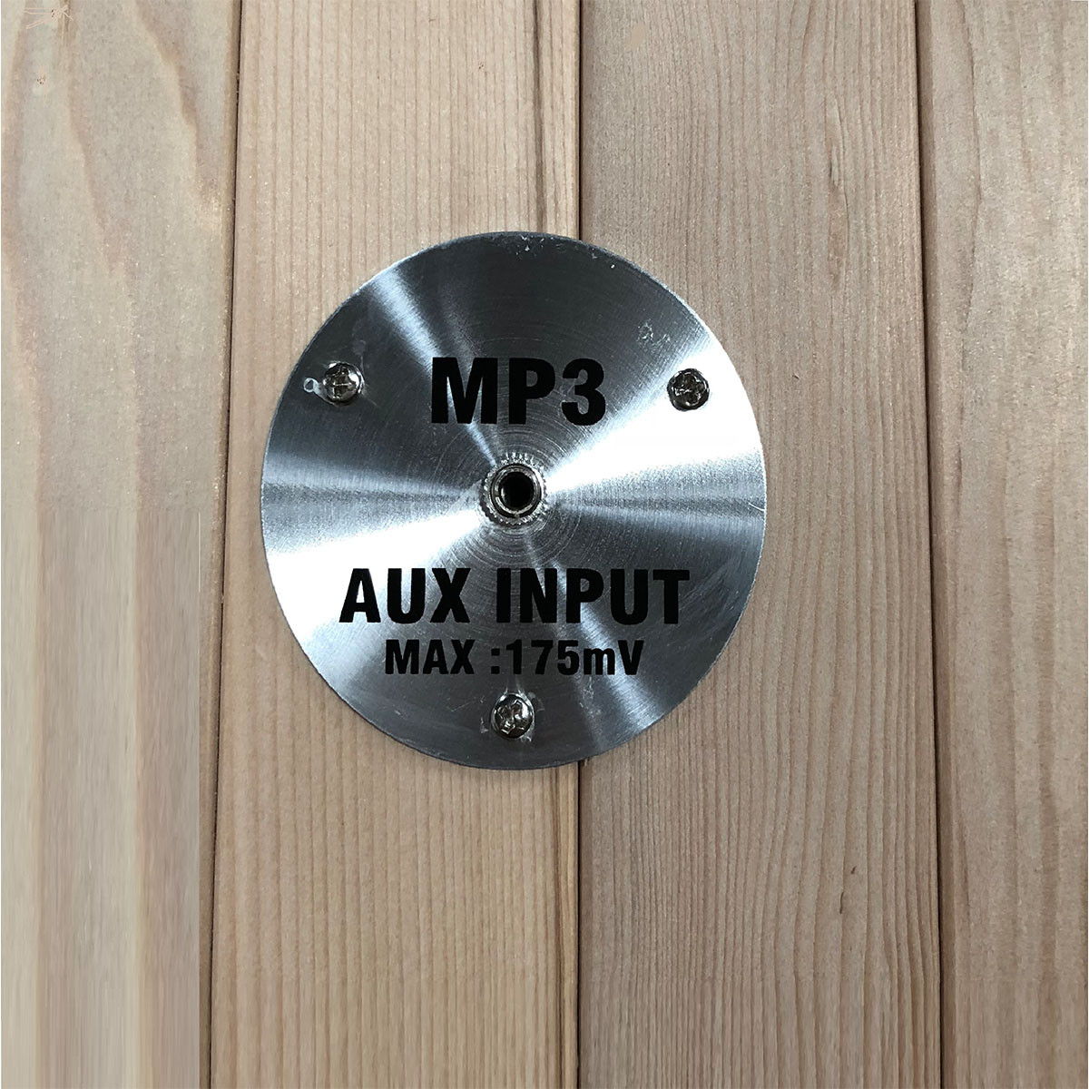 MP3 Auxiliary