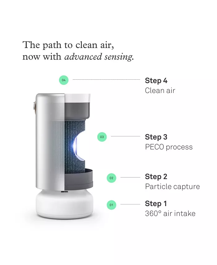 Air Purifier Tri-Power Filter Molekule Pro