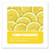 Solid Deodorant Pad for Odor Control- Lemon
