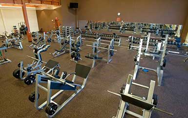 Cycling exercise machines on top of rolled rubber flooring from Zogics.