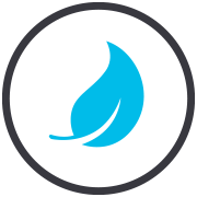 Plant-based & eco-friendly options