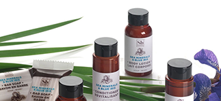 Hotel Amenities