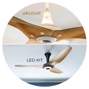 Indoor models are available with lighting kits