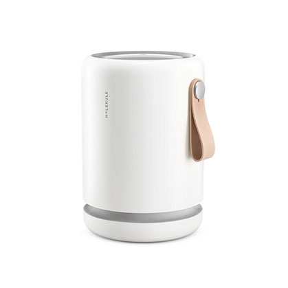 Molekule Air Mini Plus