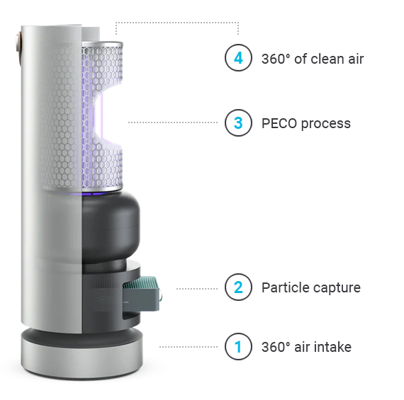 Molekule home air purification uses PECO technology