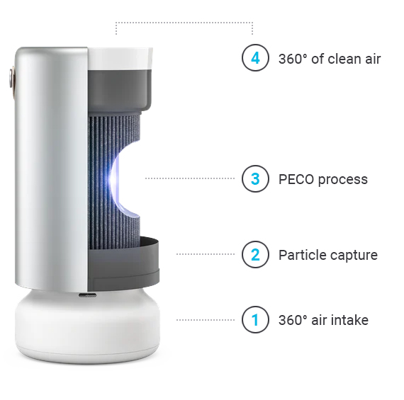 Molekule home air purification uses PECO technology