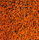 Orange and Black