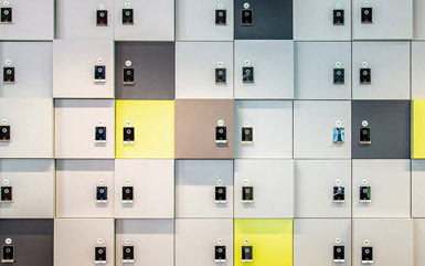 Zogics Club Laminate Locker doors in multiple colors