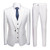 --IAM THE BOSS SLIM FIT MEN'S SUITS