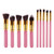  HairBeauty Brushes Kit