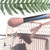 Highlight Blender Brush Make Up Tools