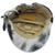  Autumn Popular Hat