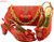 women set Decorated with Rhinestone  women set Decorated with Rhinestone