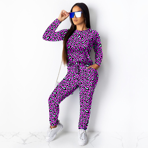 Sweat Suit Two Piece Outfits