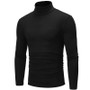 Turtle High Neck Long Sleeve 