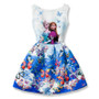 princess Butterfly  Party  Dress