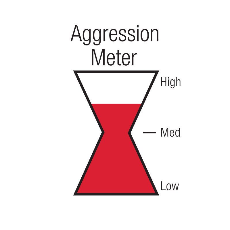 Black Widow Exhaust Muffler Angry Housewife 2.5" Center/Center