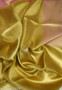 Bollywood Actress Rani Mukherjee Inspired Kanjivaram Tissue Silk Gold Saree