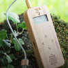Bamboo Music of the Plants
