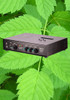 U1 Professional Music of the Plants