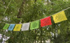 View of the Sacred Language Flags