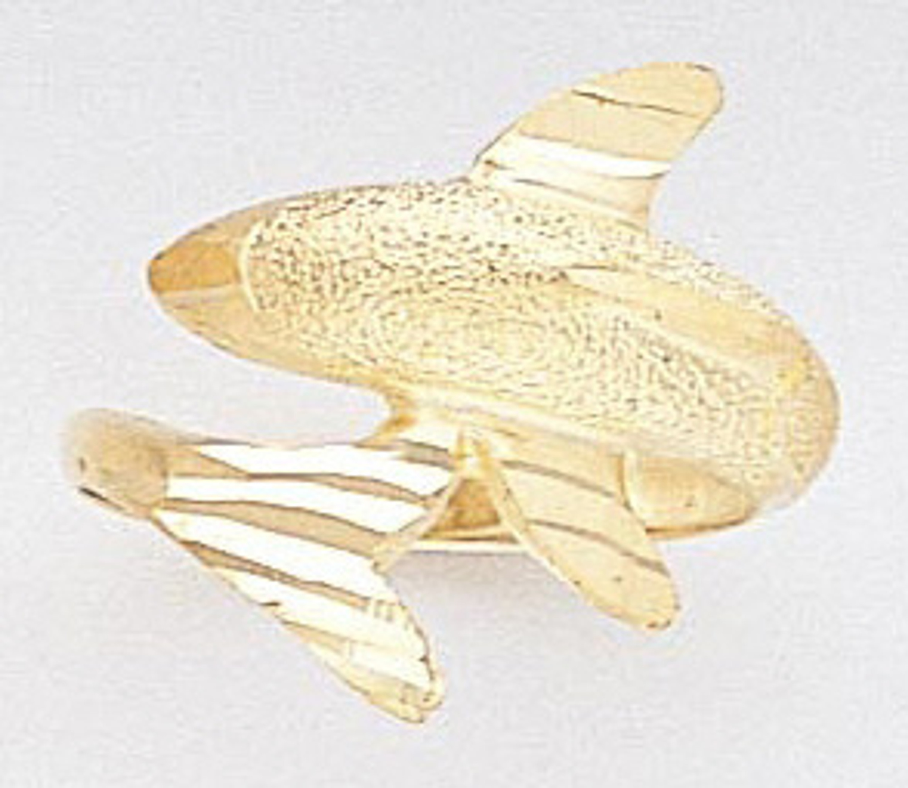 14k Gold Ladies Diamond Cut Dolphin Ring 14k Gold Ladies Diamond Cut Dolphin Ring
