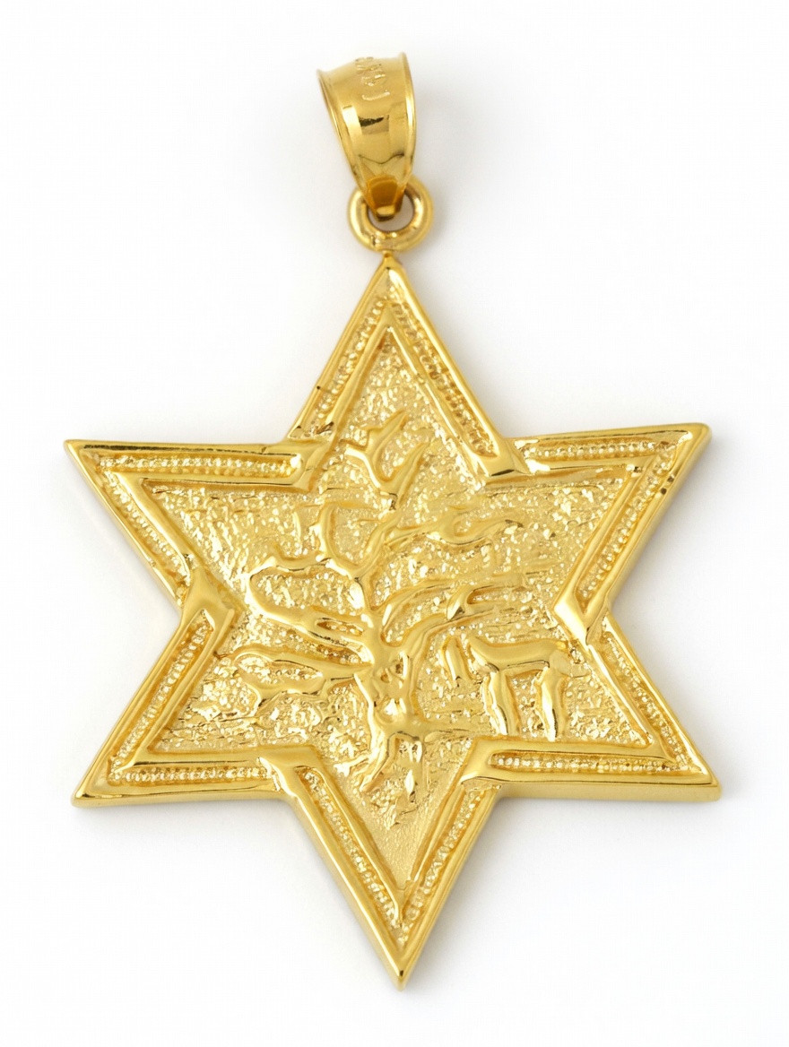 14k Yellow Gold Star Of David 1.51 Inches High Charm (pendant)