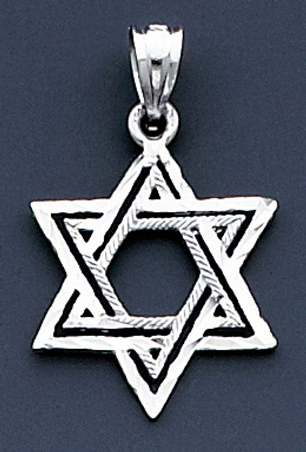 14k White 28.5mm Gold Star Of David Pendant