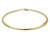 14K Yellow Gold 5mm Domed Omega Necklace 18 Inches