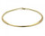 14k Gold 5mm Domed Omega Necklace 18 Inches