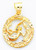 14k Gold Framed Aquarius Zodiac Pendant