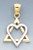 14k Gold And 14k White Gold Heart  Star Of David Charm