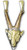 14k Tri-gold Capricorn Charm (pendant)
