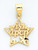 14k Gold Wish Upon A Star Charm