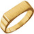 14k Gold Men's Rectangle Signet Ring 6mmx15mm  Solid Back