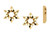 14k Yellow Gold Star of David Earrings 11.0mm