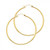 14k Yellow Gold 2mm High Polished  Hoop Earrings 30mm Diameter