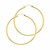 18k Yellow Gold 2mm by 15mm Polished Hoop Earrings