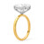 18K and Platinum GIA Certified 2.70ct Cushion Diamond Solitaire Ring