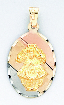 14k Tri Color Gold 16mmx 21.5mm San Juan de Los Lagos Virgin Medal