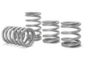 Polaris RZR Pro XP Tender Springs Polaris RZR Pro XP Tender Springs